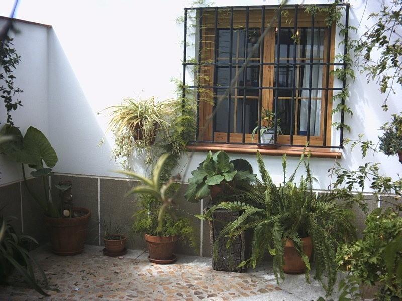 Casa Rural La Brena Talaván Eksteriør bilde